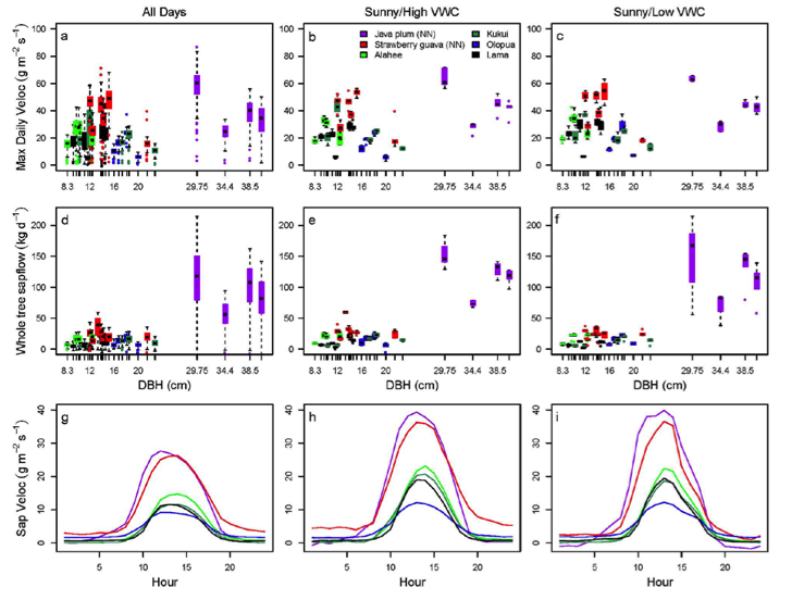 Maximum wet season sap velocities (a–c) and whole-tree sap flux (d–f) for multiple individuals of each species, plotted against diameter at breast height, for the Nov 2018-March 2019 study period (left column), five sunny days with higher soil moisture (center column), and c) five sunny days with lower soil moisture (right column). Mean diurnal sap velocities for each species for all days (g), sunny with high soil moisture (h), and sunny with lower soil moisture (i).